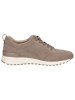 Caprice Sneaker in MUD SUEDE