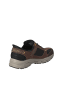Skechers OAK CANYON - CONSISTENT WINNER OAK CANYON - CONSISTENT WINNER in brown/black