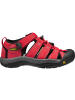 Keen NEWPORT H2 in Rot