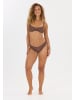 NOU Bikini-Oberteil Yurika in 5127 Marron