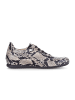Gabor Sneaker low in multicolour