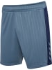 Hummel Hummel Kurze Hose Hmlpulse Erwachsene in BLUE MIRAGE/DRESS BLUE