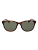 Superdry Sonnenbrille Panto Braun