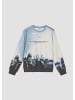 s.Oliver Sweatshirt  in  54D1_hellblau