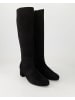Gabor Winterstiefel in Schwarz