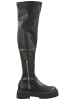 Steve Madden Stiefel in Grau