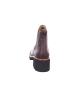 Paul Green Stiefeletten für Damen in braun