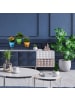 relaxdays Blumentreppe in Schwarz - (B)55 x (H)21 x (T)19 cm
