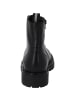 Palado Schnürstiefel Mileans in Schwarz