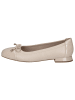 Caprice Ballerina in CREAM PEARL CO