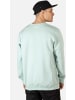 Reell Pullover "Regular Logo Crewneck" in Grün