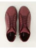 Andrea Conti SHOES Klassische Stiefeletten in Bordeaux