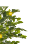 Beliani Kunstpflanze LEMON TREE in Grün/Schwarz - (W) 66 x (H) 156 x (L) 66 cm