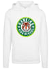 F4NT4STIC Hoodie Stranger Things Hawkins Tiger Circle Netflix in weiß