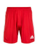 adidas Performance Funktionsshorts Tastigo 19 in rot / weiß