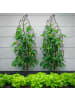 relaxdays 4 x Rankgitter "Blatt" in Braun - (B)30 x (H)100 cm