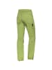 OCUN M DRAGO ORGANIC PANTS in Grün