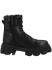 Bullboxer Schnürboots 517504E6L in schwarz