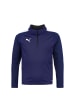 Puma Sweatshirt TeamLIGA 1/4 Zip in dunkelblau / weiß