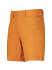 Bergans M VANDRE LIGHT SOFTSHELL SHORTS