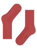 Falke Socken Family in Lobster