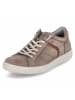 Jomos Low Sneaker in Beige