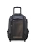 Delsey Raspail 2-Rollen Kabinentrolley für Haustiere 48 cm in noir