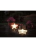 paulmann Outdoor Plug & Shine Lichtobjekt Star IP67 3000K 235lm 24V