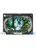 Ravensburger Ravensburger Denkspiel Mystery Adventskalender - Der magische Wald in bunt