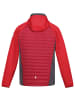 Regatta Steppjacke Andreson VII Hybrid in Rot