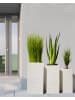 Beliani Outdoor Blumentopf DION in Beige - (W) 40 x (H) 77 x (L) 40 cm
