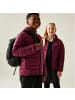 Regatta Marizion Baffle-Jacke / Steppjacke mit Kapuze in Dunkelrot
