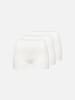 Erlich Textil  Slip LIGHT TOUCH PANTY IM 3er PACK in ecru