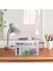 relaxdays Aufbewahrungsbox in Transparent/ Grün - (B)33 x (H)14 x (T)19,5 cm