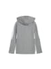 Puma Kinder Sweatjacke "teamEVOSTRIPE Hooded Jacket JR" in Grau