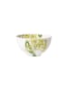 Villeroy & Boch Bol Amazonia 700 ml in bunt