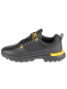 Caterpillar Caterpillar Colorado Sneaker Lo in Schwarz