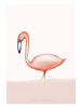 Dori's Prints Poster / Bild "Flamingo Flavio" - DIN A4
