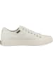 Palladium Sneaker low Palla Ace Canvas in weiss