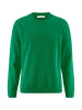 Hessnatur Pullover in grün