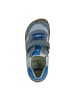KOEL Klettschuhe in Blau