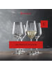 Spiegelau 4er Set Champagnergläser Lifestyle 310 ml in transparent