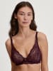 Calida Spitzen-BH in black cherry