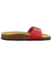 Plakton Pantolette in rot