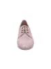 Everybody Damenschnürrschuhe halb glatte-oder Ledersohle bis 25 mm  in  Beige