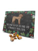 Mr. & Mrs. Panda Adventskalender für Hunde Hund Dogge mit Spruch in Kreidetafel