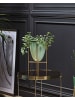 Beliani Outdoor Blumentopf LEFKI in Grün/Gold - (W) 16 x (H) 31 x (L) 16 cm