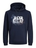 Jack & Jones Pullover JCOMAP LOGO in Blau