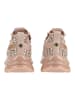 Steve Madden Sneaker MANDALAY-E Gold/Beige
