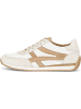 Gabor Sneaker Low in offwh/sand/powder